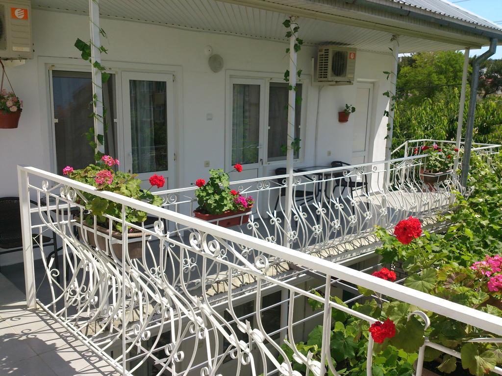 جيليندجيك Guest House Nadezhda المظهر الخارجي الصورة
